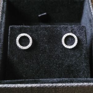 Diamond And 925 Sterling Silver Circle Earrings